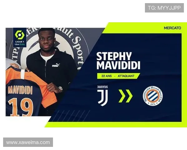 法甲联赛青训体系对本土球员成长的影响机制